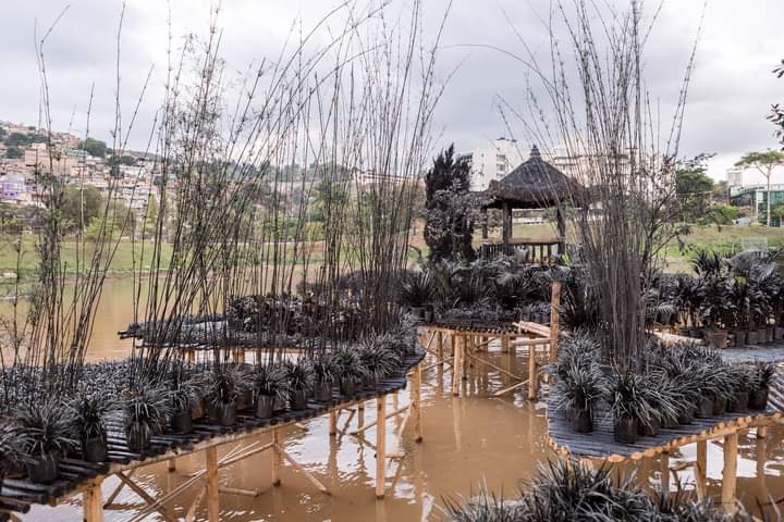 FB_IMG_1637370581377-1
